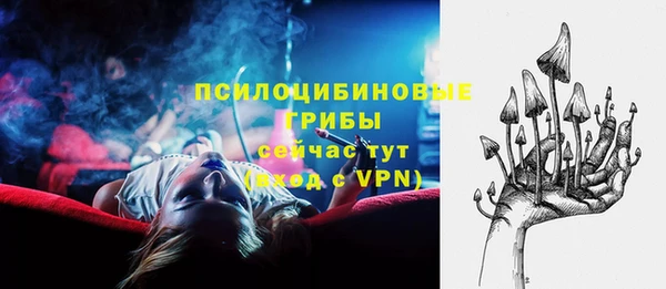 прущая мука Алзамай