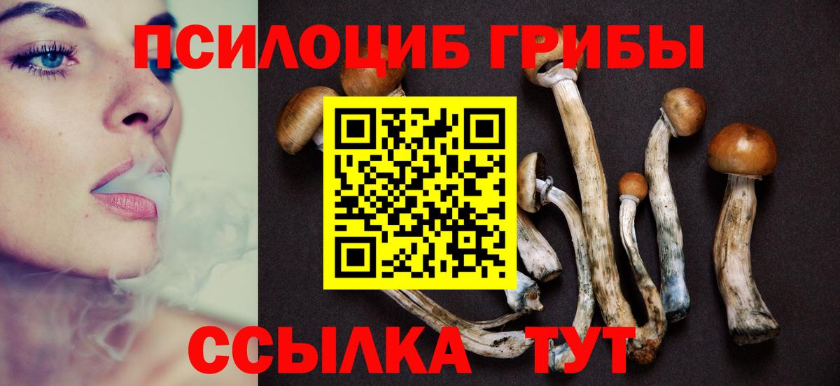 Красноперекопск  Псилоцибиновые грибы Magic Shrooms  Вход с VPN 
